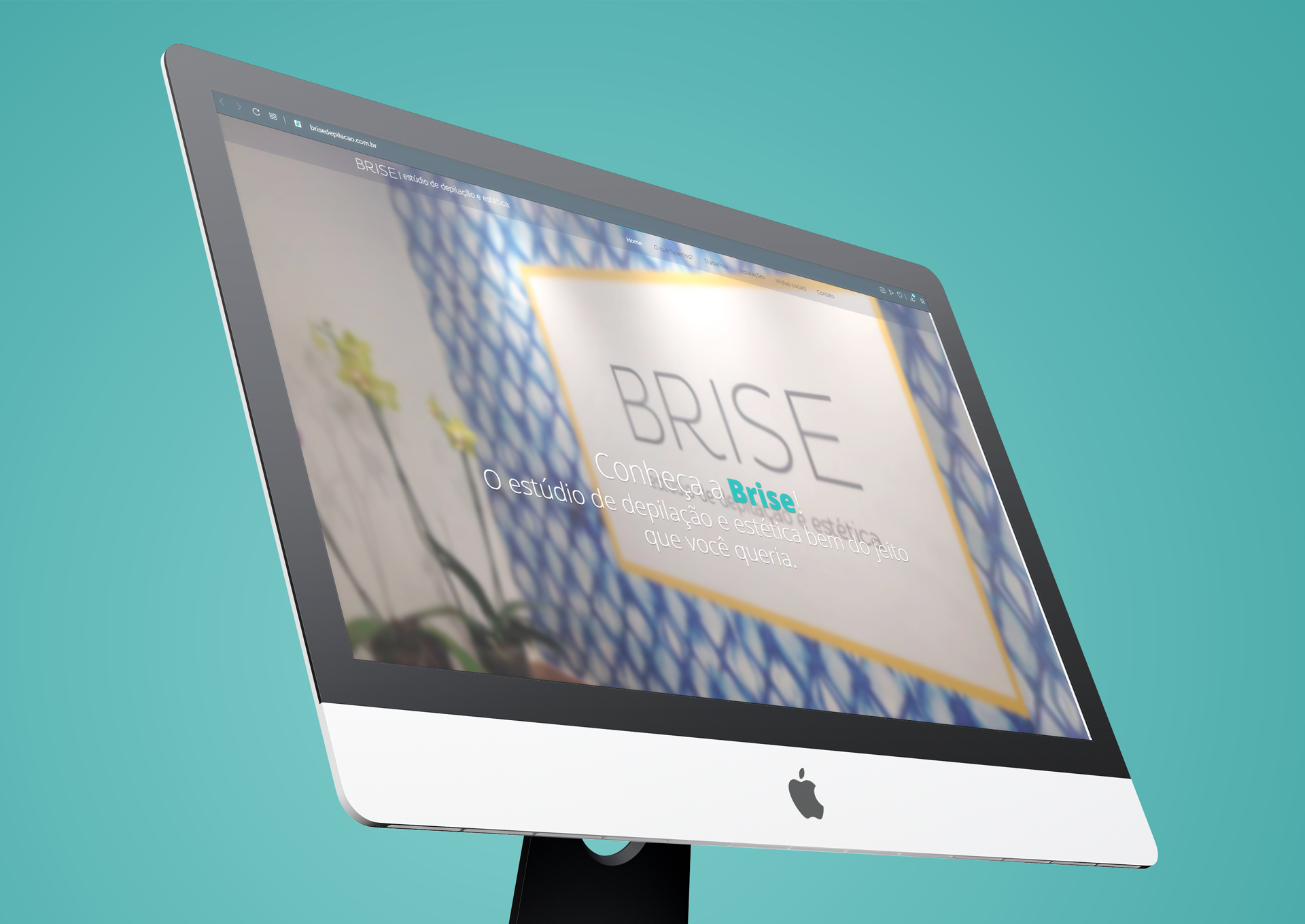 Zero2 Criativa - Brise Depilação | web design 